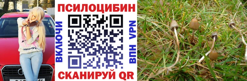 даркнет сайт  Скопин  Псилоцибиновые грибы MAGIC MUSHROOMS 