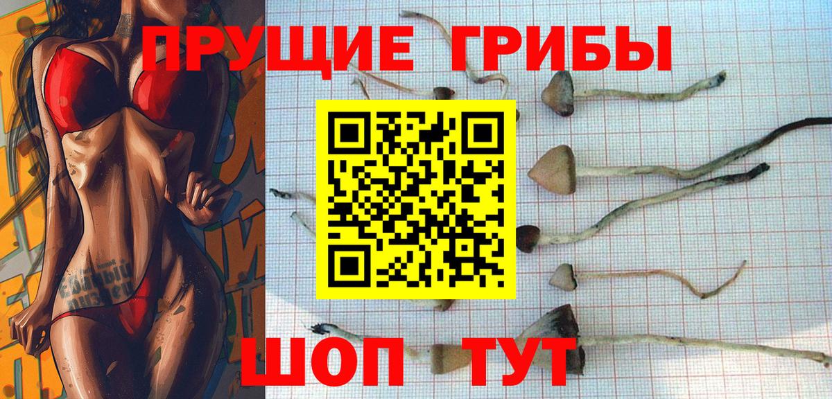 Скопин  Галлюциногенные грибы мицелий  Вход с VPN 